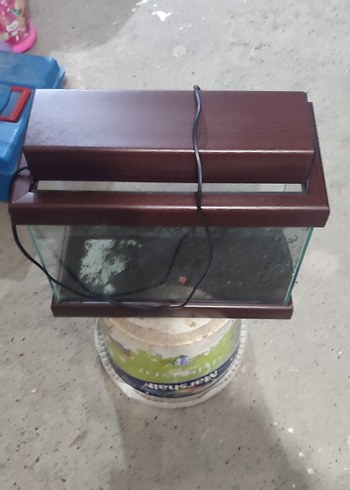 kargo yapilamaz kırılır elden teslim Kapaklı Akvaryum