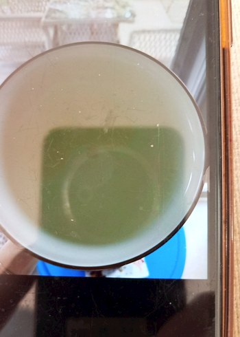 Mackenzie-Childs büyük boy vazo - Görsel 3