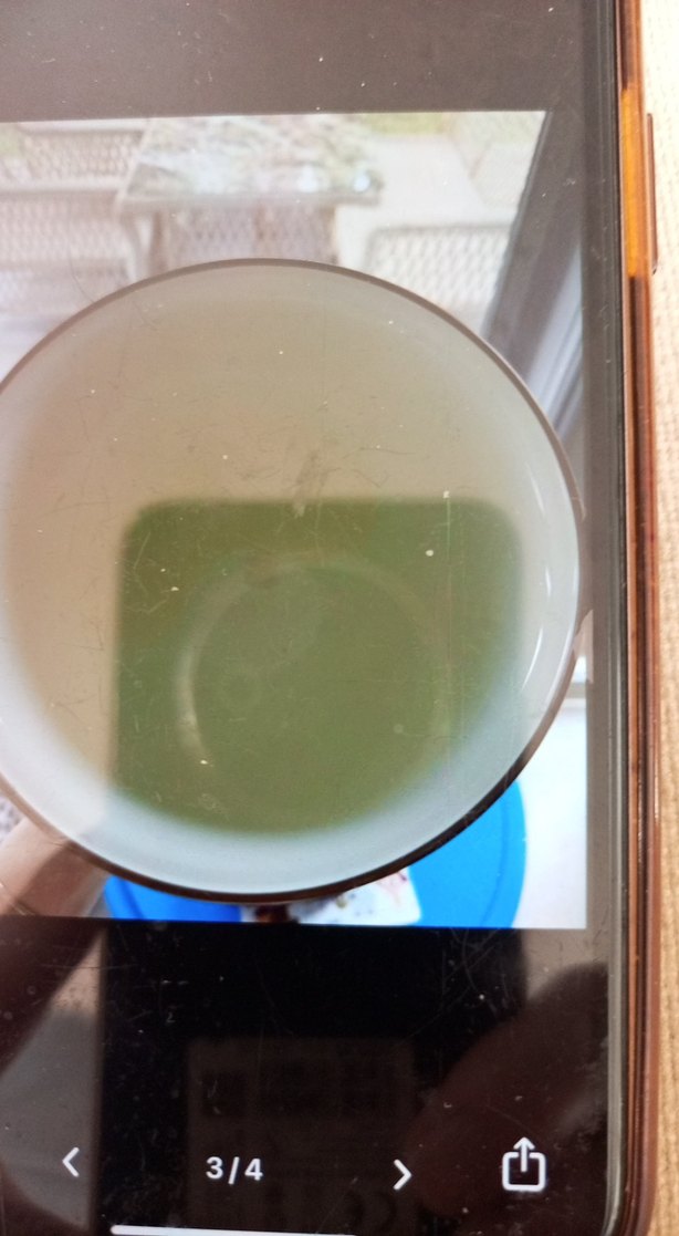 Mackenzie-Childs büyük boy vazo - Görsel 3