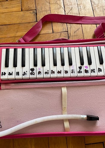 Beden Pembe Melodika Çantası