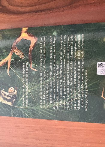 Beden Renk Yeşilin Kızı Anne Romanı Avonlea 2. Kitap