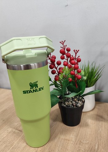 Stanley Pembe Çocuk Termos Şişesi - Görsel 5