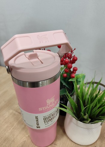 Stanley Pembe Çocuk Termos Şişesi - Görsel 3