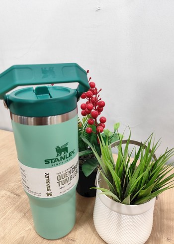 Stanley Pembe Çocuk Termos Şişesi - Görsel 2