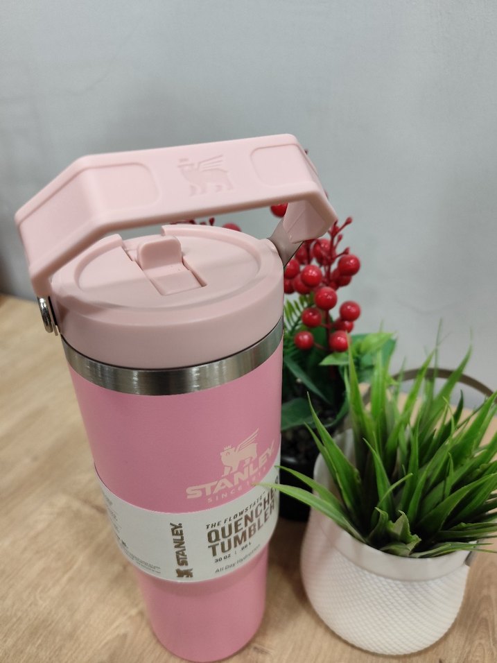 Stanley Pembe Çocuk Termos Şişesi - Görsel 3