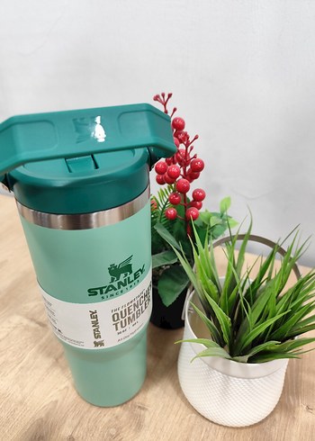 Stanley Pembe Çocuk Termos Şişesi - Görsel 6