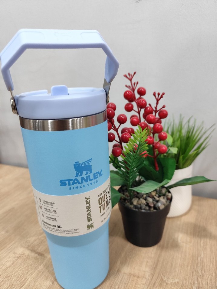 Stanley Pembe Çocuk Termos Şişesi - Görsel 4