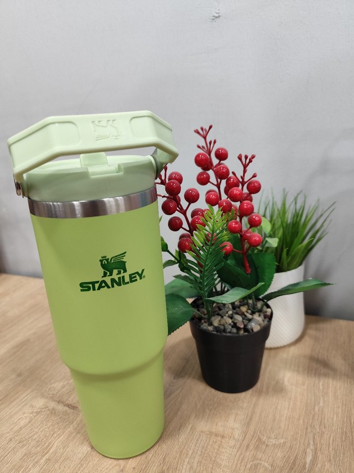 Stanley Pembe Çocuk Termos Şişesi - Görsel 5