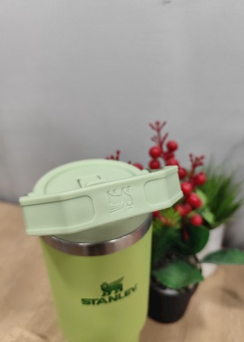 Stanley Pembe Çocuk Termos Şişesi - Görsel 7