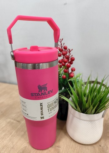 Stanley Pembe Çocuk Termos Şişesi - Görsel 3