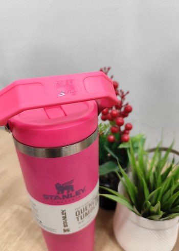 Stanley Pembe Çocuk Termos Şişesi - Görsel 4