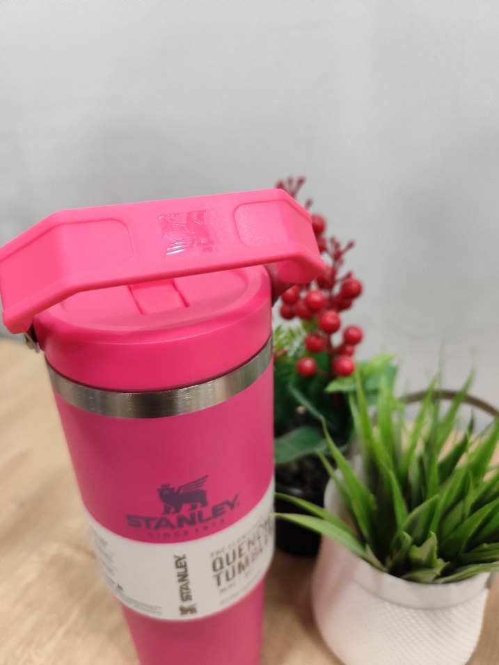 Stanley Pembe Çocuk Termos Şişesi - Görsel 4