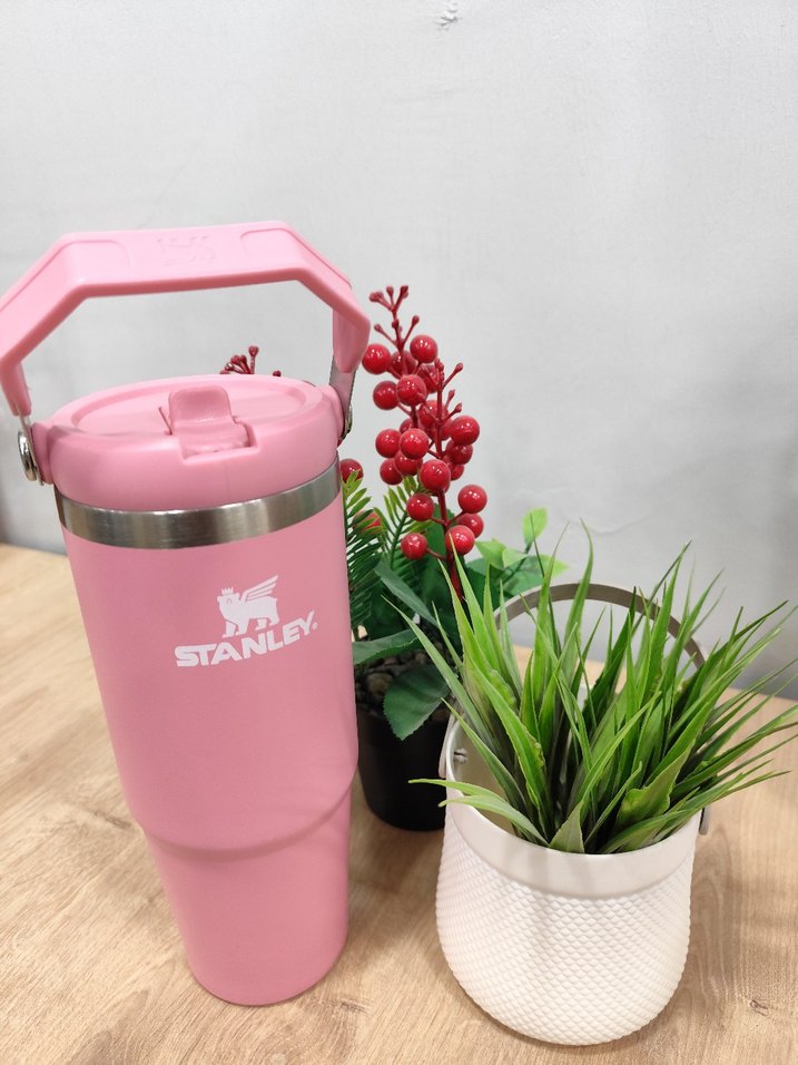 Renkli Pembe Stanley Termos Matara - Görsel 4