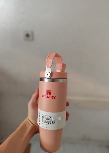 Diğer Stanley 887 ml