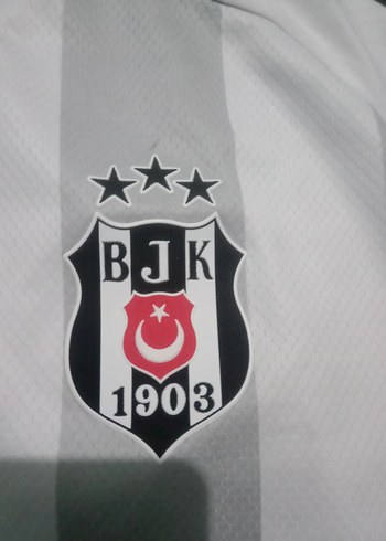 Beyaz Erkek Kısa Kollu Spor Tişört - Görsel 2