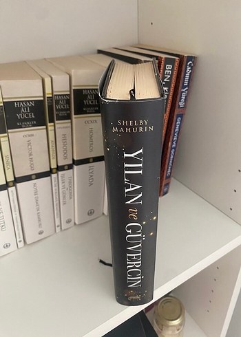 Yılan ve Güvercin - Shelby Mahurin - Görsel 3