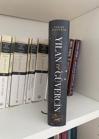 Yılan ve Güvercin - Shelby Mahurin - Görsel 2