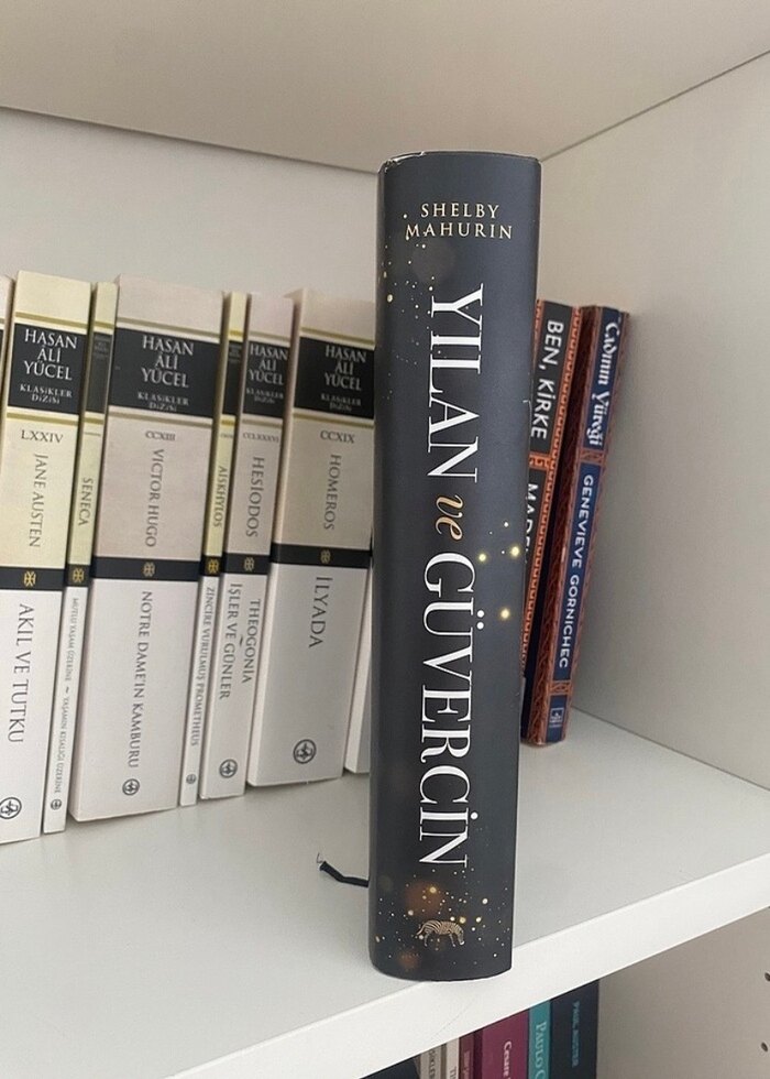 Yılan ve Güvercin - Shelby Mahurin - Görsel 2