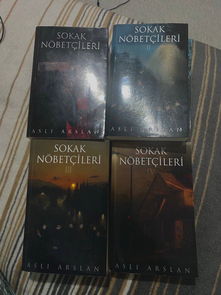 Aslı Arslan Sokak Nöbetçileri Serisi - Görsel 2