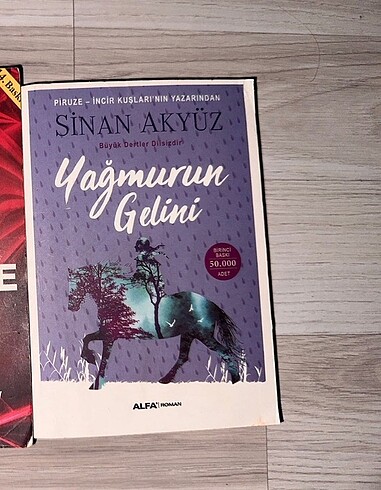 Yağmurun gelini