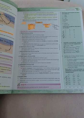YKS Biyoloji Konu Anlatımlı Kitap B