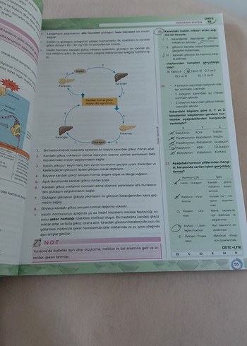 Beden YKS Biyoloji Konu Anlatımlı Kitap B