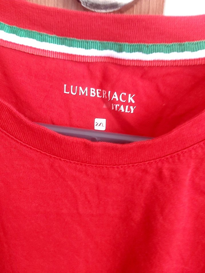 LUMBERJACK ERKEK KIRMIZI TİŞÖRT - Görsel 4