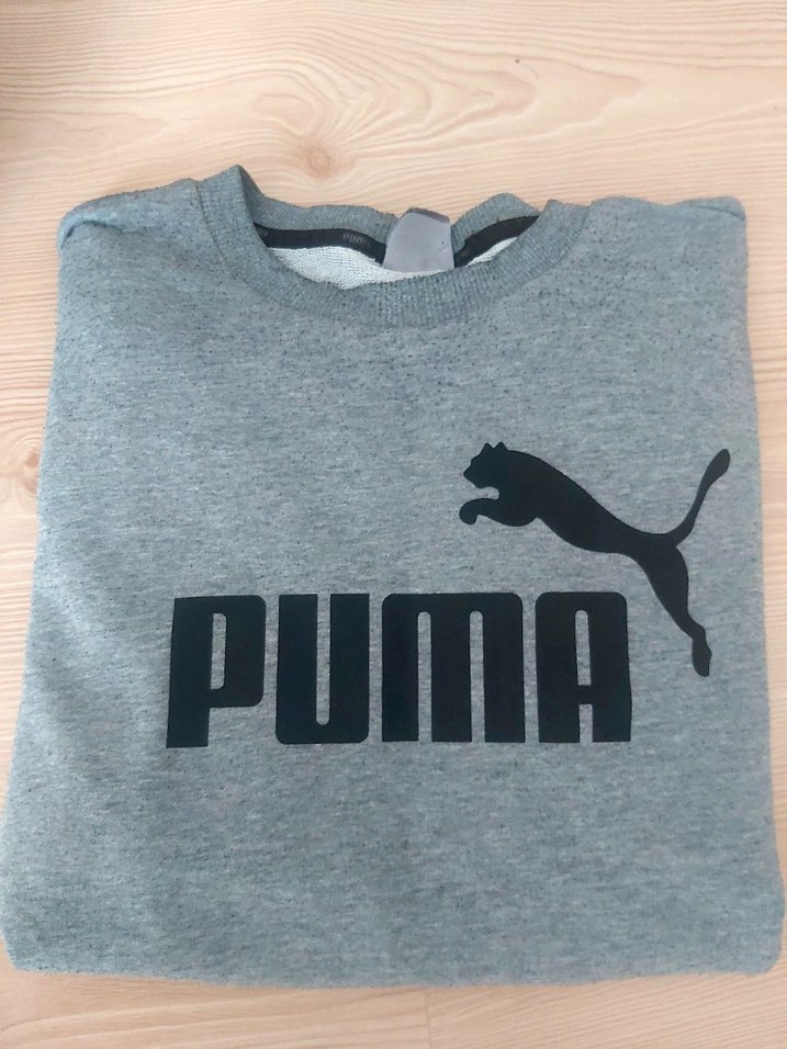 Gri Puma Erkek Sweatshirt - Görsel 3