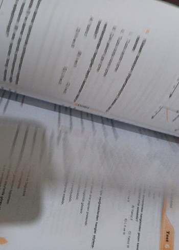 Beden AYT Biyoloji 1001 Soru Bankası PDF Dahil