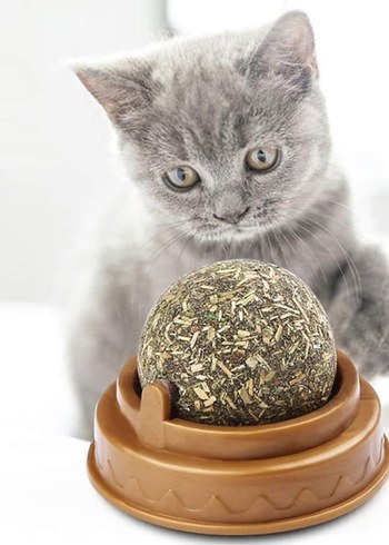 Kedi Nanesi Oyun Topu - Görsel 4