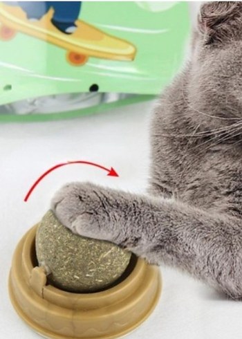 Kedi Nanesi Oyun Topu - Görsel 3