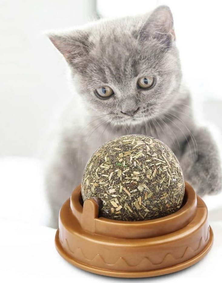 Kedi Nanesi Oyun Topu - Görsel 4