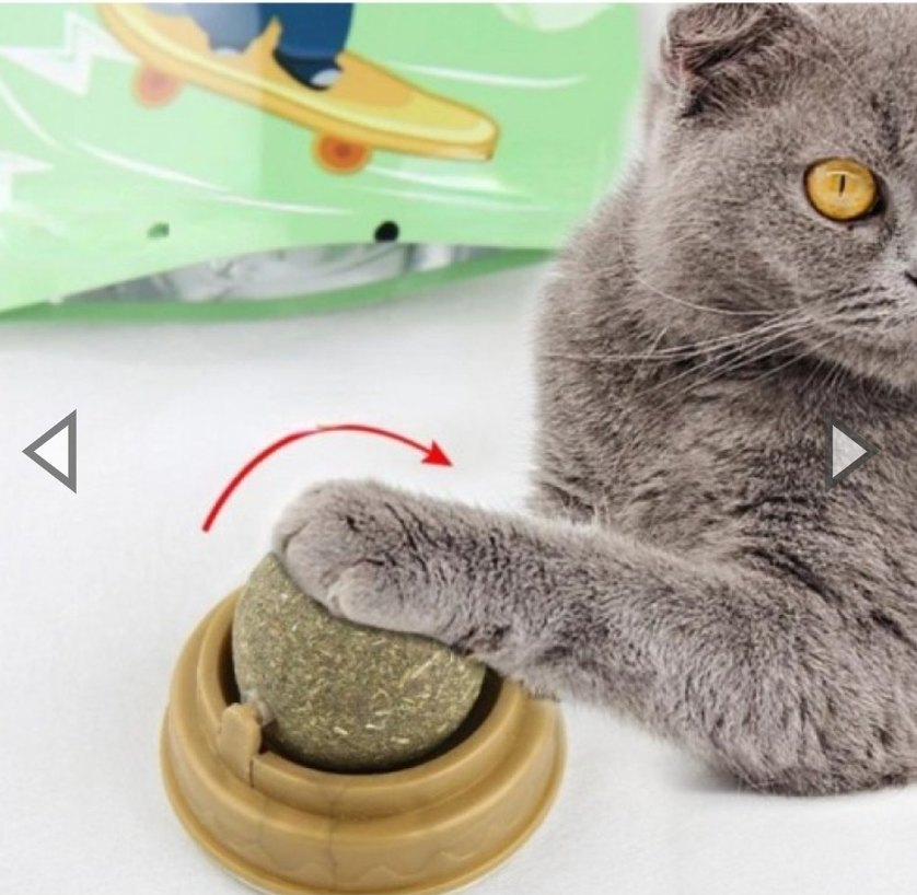 Kedi Nanesi Oyun Topu - Görsel 3