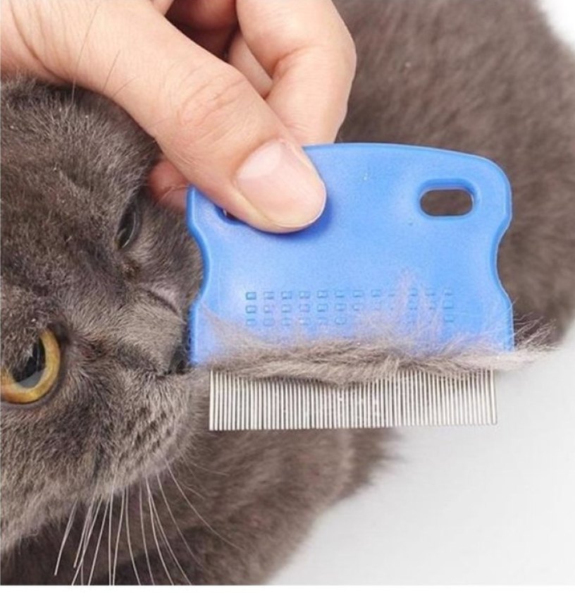 KEDİ KÖPEK PİRE TARAĞI - Görsel 2