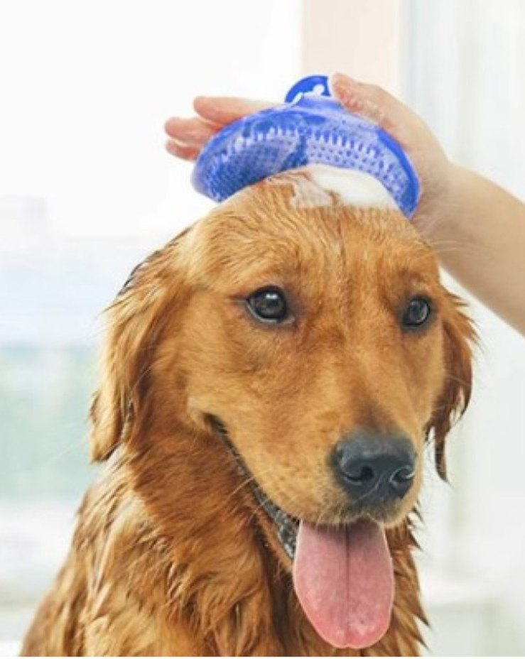 Silikon Tüy Toplama Yıkama Fırçası - Görsel 4