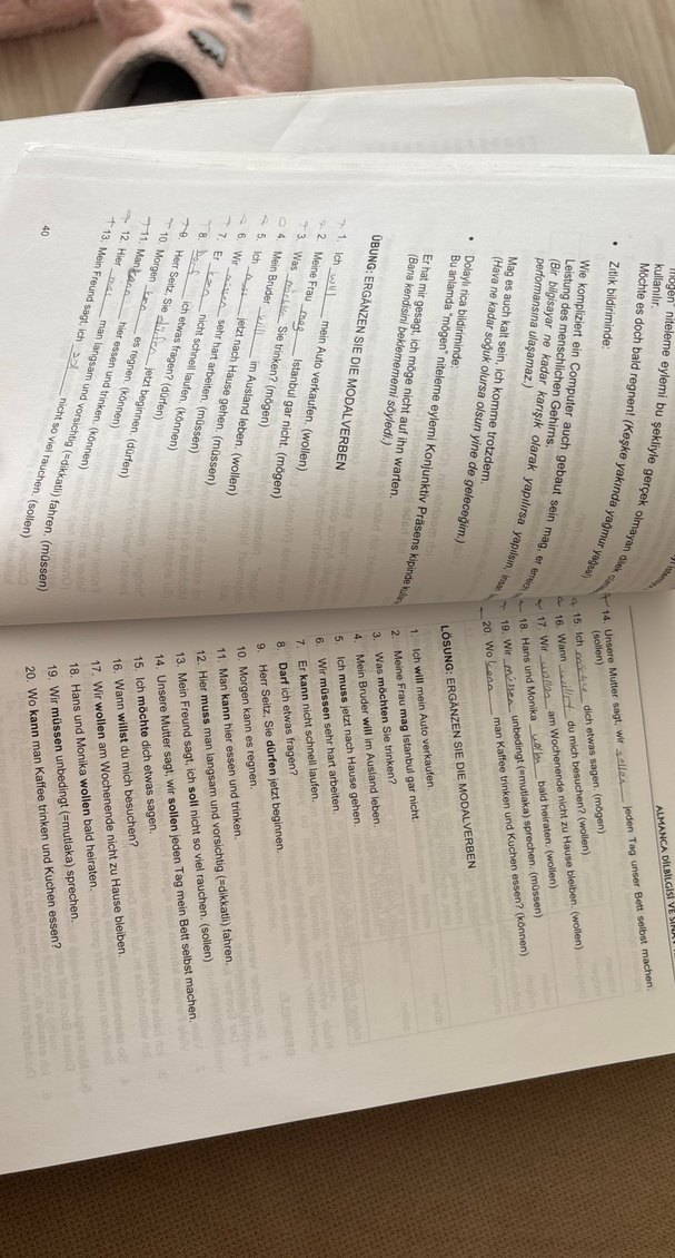 Almanca Dilbilgisi ve Sınav Rehberi Kitabı - Görsel 3