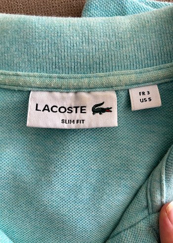Lacoste Erkek Polo Tişört - Görsel 4