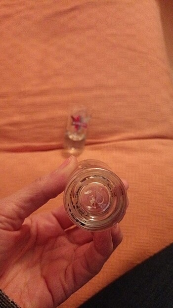  Beden Shot bardakları