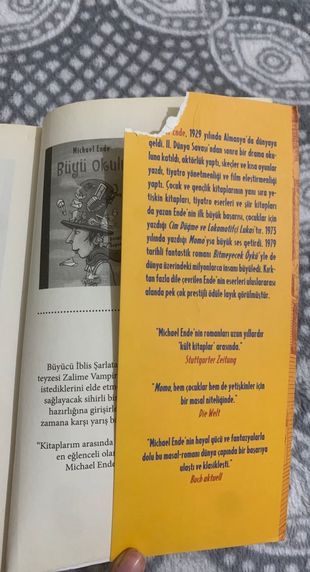 Momo - Michael Ende Roman - Görsel 4