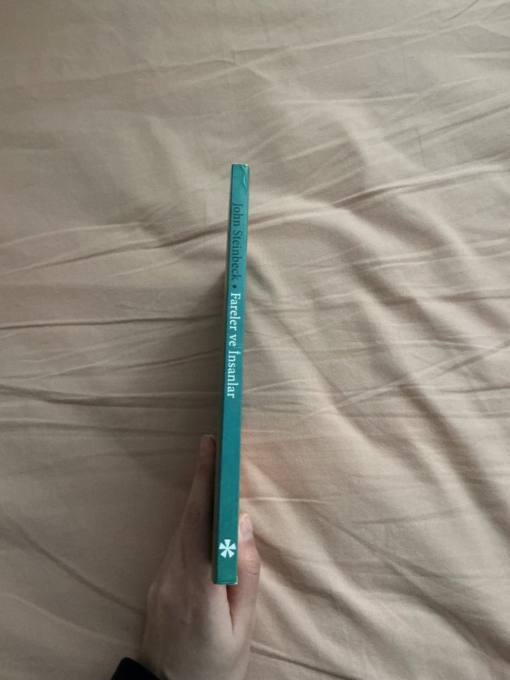 Fareler ve İnsanlar - John Steinbeck - Görsel 3