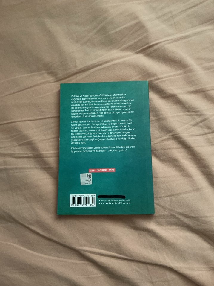 Fareler ve İnsanlar - John Steinbeck - Görsel 2