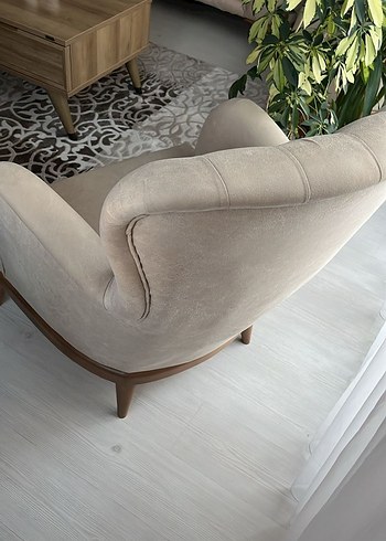 Diğer Modern Klasik bej Düz berjer ve Yastık