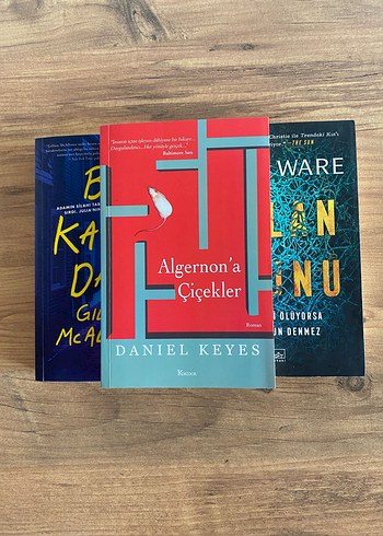 Bir Kayıp Daha, Yalan Oyunu, Algernon'a Çiçekler Kitapları