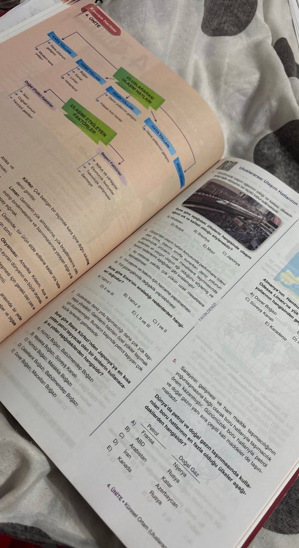 10. Sınıf Coğrafya Soru Bankası - Görsel 2