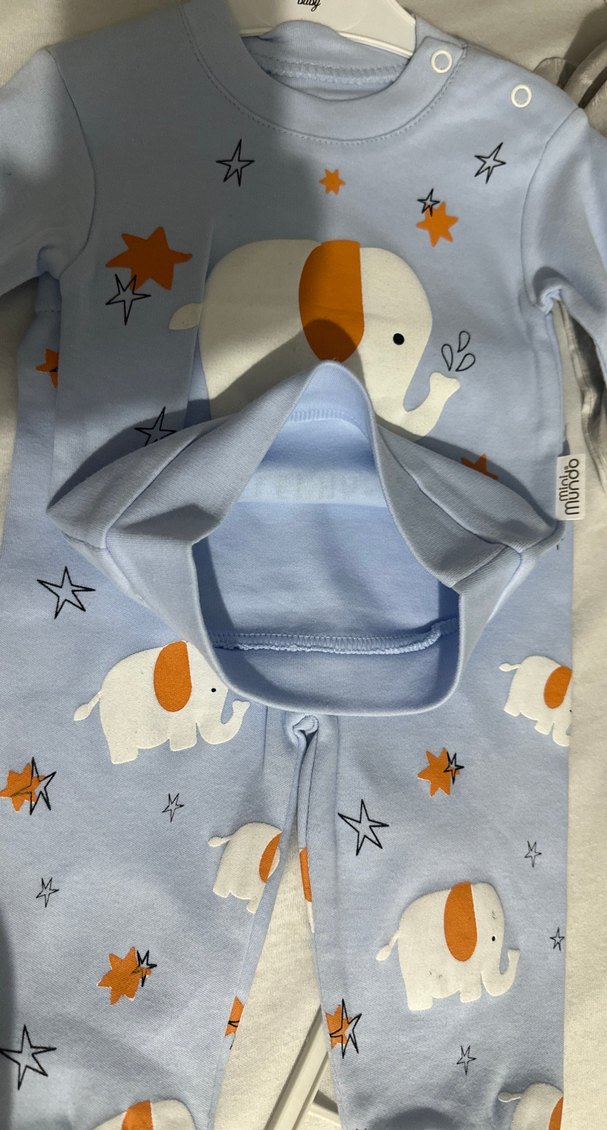 Mavi Erkek Bebek Fil Desenli Takım - Görsel 2