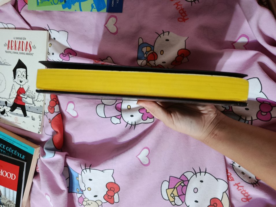 Harry Potter ve Felsefe Taşı - Hufflepuff - Görsel 3