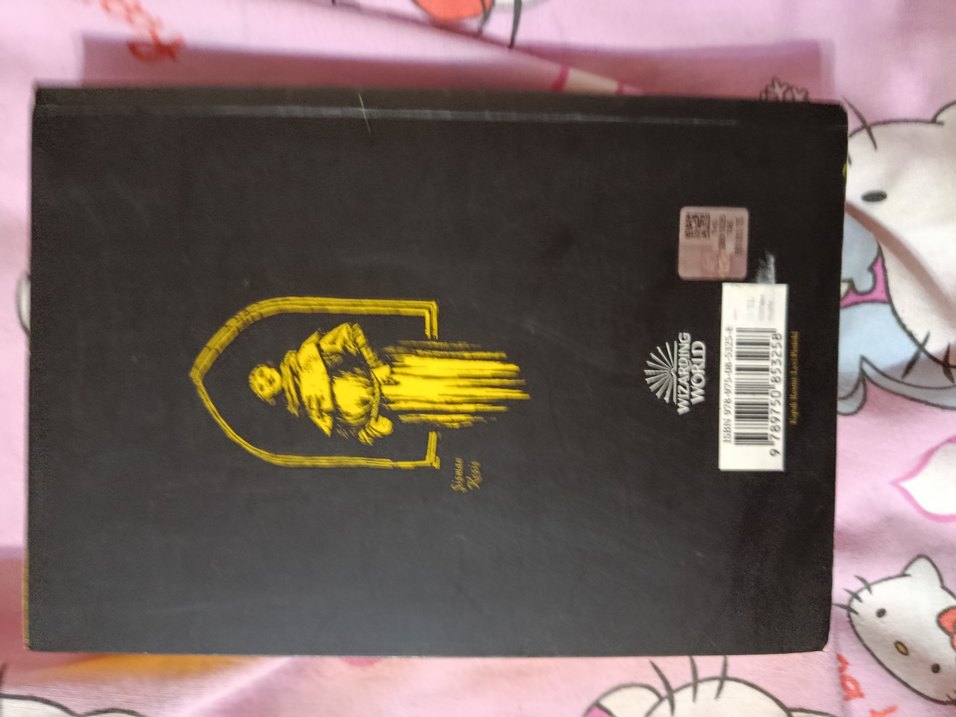 Harry Potter ve Felsefe Taşı - Hufflepuff - Görsel 2