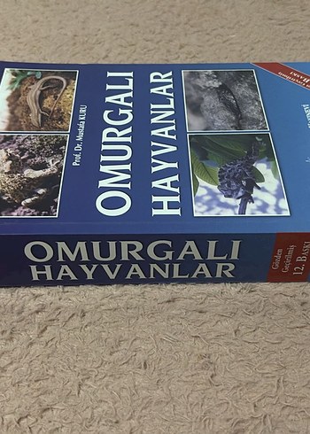 Omurgalı Hayvanlar - Prof. Dr. Mustafa Kuru - Görsel 3