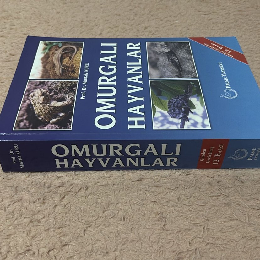 Omurgalı Hayvanlar - Prof. Dr. Mustafa Kuru - Görsel 3