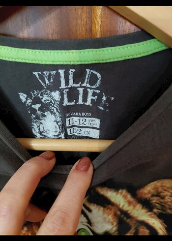 ZARA ERKEK ÇOCUK TİŞÖRT - Görsel 2